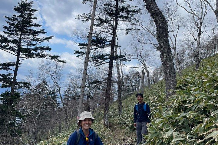 Ganztägige Wanderung in der grünen Jahreszeit in Sapporo und Hokkaido mit Onsen.