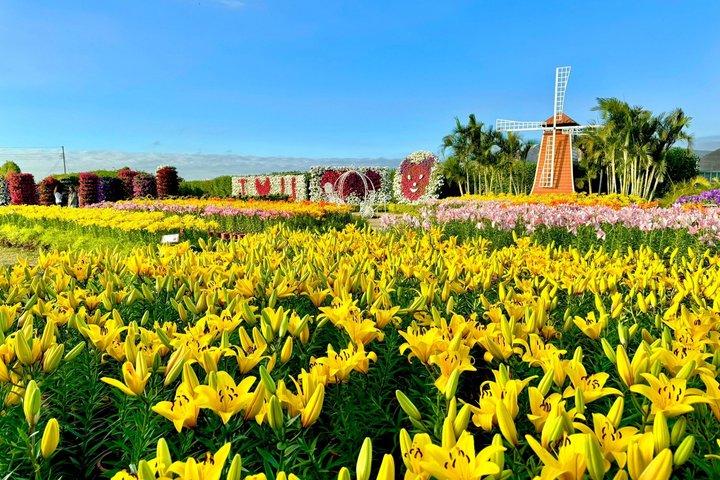 Taichung & Gaomei Wetland: tour di un giorno da Taipei