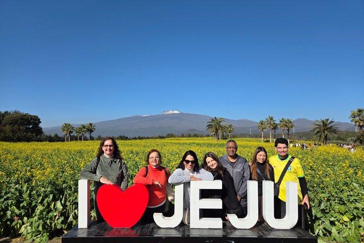 Jeju Private Taxi Tour med engelsktalende guide og chauffør