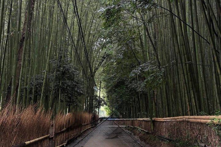 Excursão de Arashiyama Easy Walk