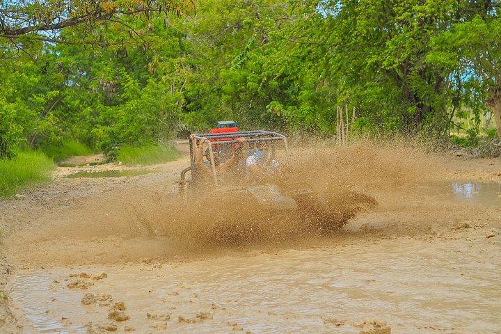 Off Road Buggy Adventure