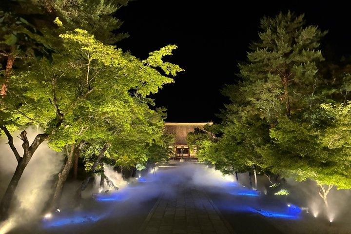Kyoto Ninnaji Temple Green Leaves Night Illumination Tour