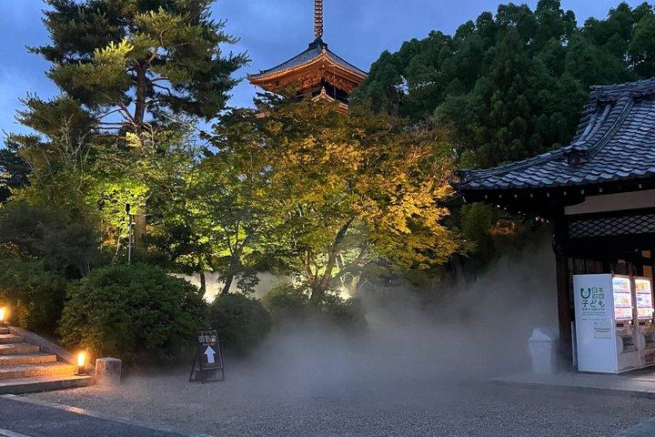 Kyoto Ninnaji Temple Green Leaves Night Illumination Tour
