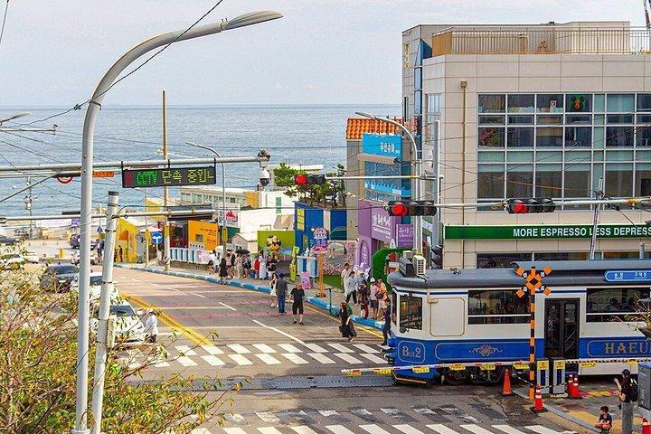 海雲台ブルーライン公園と釜山市内観光ツアー