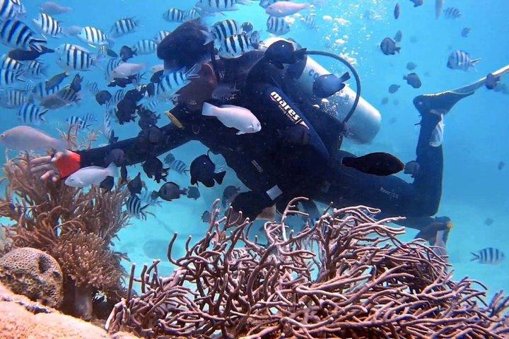 Nha Trang 1 Dive Scuba Diving Experience with BBQ Lunch