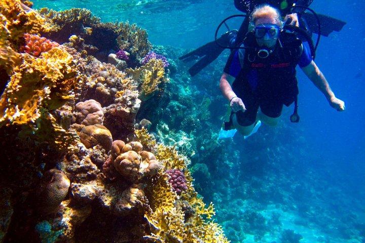 Nha Trang 1 Dive dykkeroplevelse med grillmad