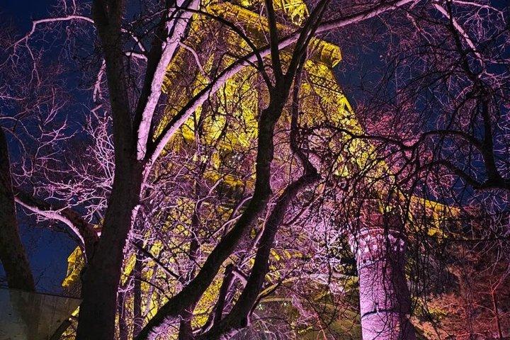 Privé schilderachtige rijtour door Parijs met fotostops
