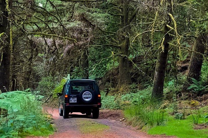 Madeira’s Peaks & Nature: Private 4x4 Pico do Arieiro & Santana