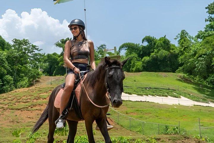 ネグリルホテルからバンブーザパークへのプライベート送迎