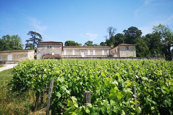 Saint Emilion and Margaux Wine Tour from Bordeaux