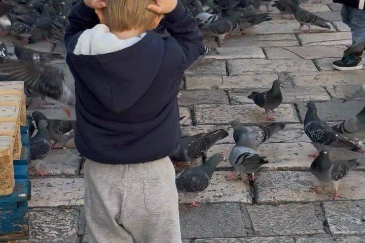 Barn- och familjeupplevelse i Dubrovnik