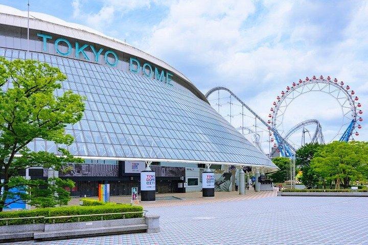 Private TOKYO Tour:After Arrival/Before Departure/Transfer Flight