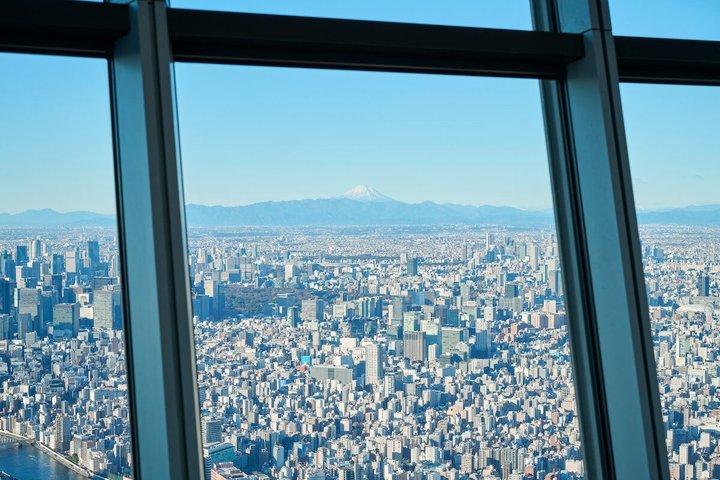 Private TOKYO Tour:After Arrival/Before Departure/Transfer Flight