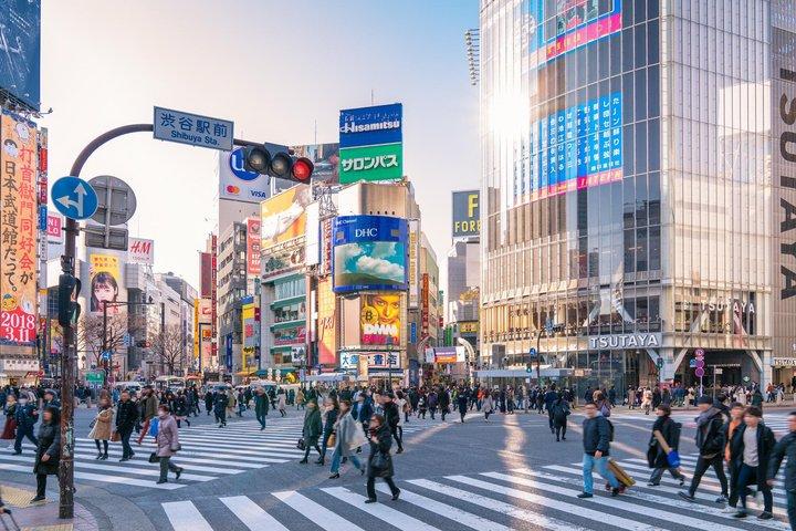 Private TOKYO Tour:After Arrival/Before Departure/Transfer Flight