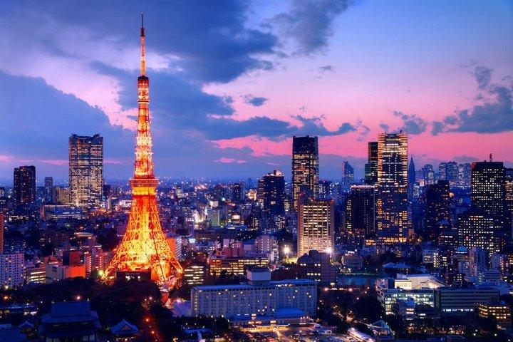 Private TOKYO Tour:After Arrival/Before Departure/Transfer Flight