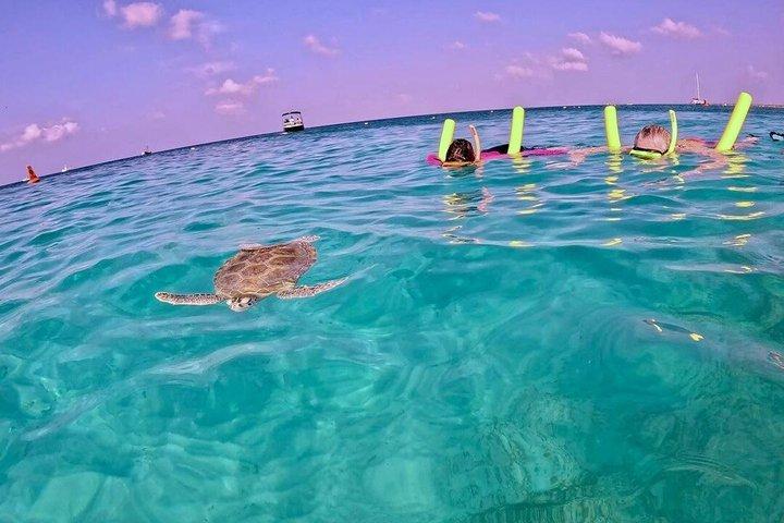 Aruba Turtle Snorkeling Private Tour with Underwater Footage