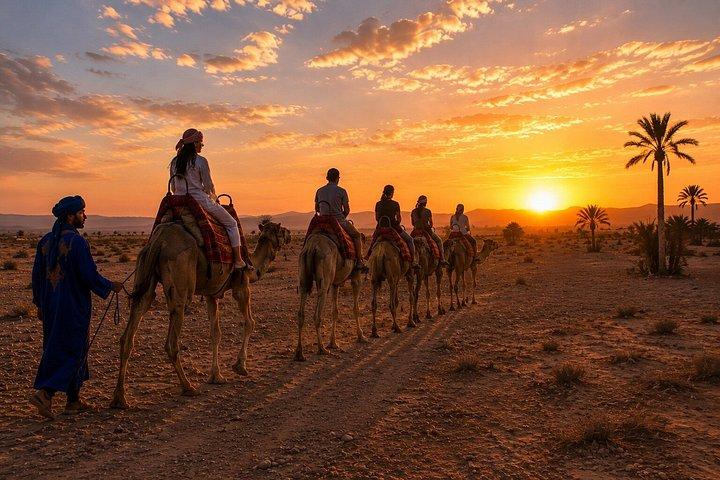 Agafay Sunset Camel Ride and Dinner Experience