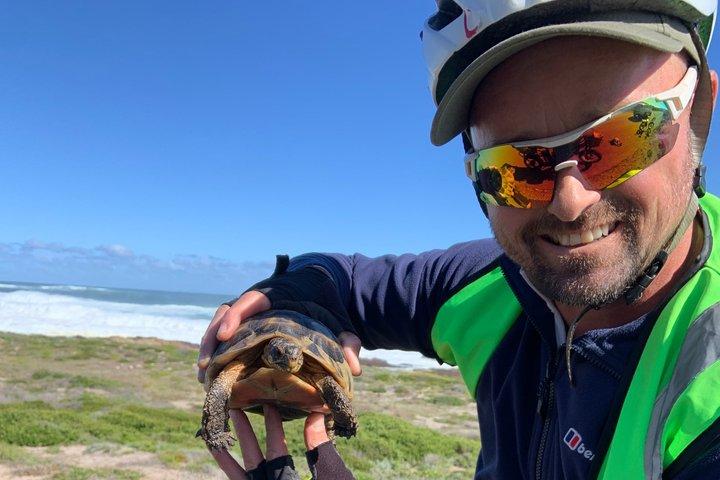 Cape Point : Klassische E-Bike-Tour
