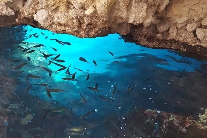 Corfu Paleokastritsa 1h tour Cavernas do mar Paradise Stelari praia