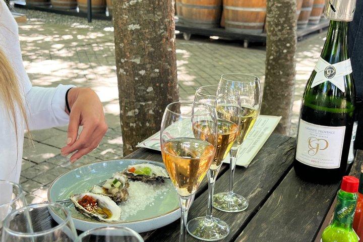 Franschhoek Wine Tram Hop-On Hop-Off fuld dag vinoplevelse.