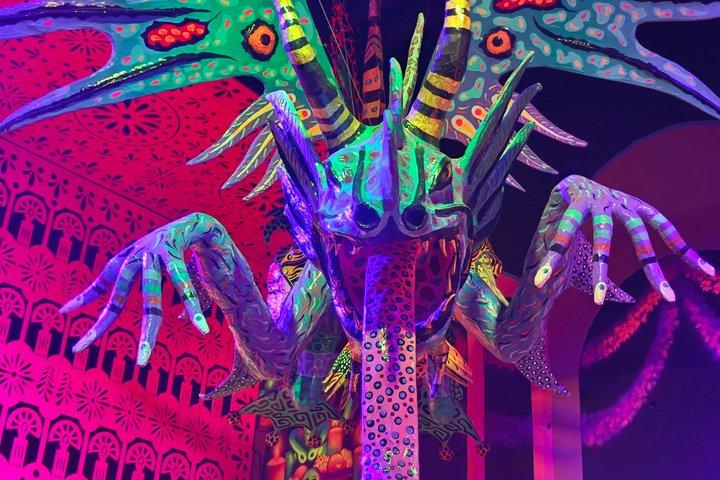 FlyOver Mexiko Exklusiv-Tour: Flug und Immersive Rooms
