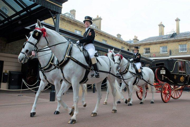 Buckingham Palace Royal Mews Experience Pass