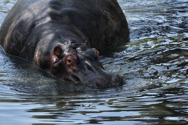 3 - Dagen Masai Mara Groepssafari met bezoek aan Maasai Village