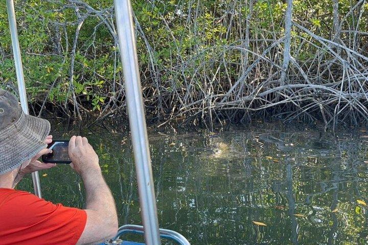 Hoteller i nærheden af Tamarindo Estuary Tour