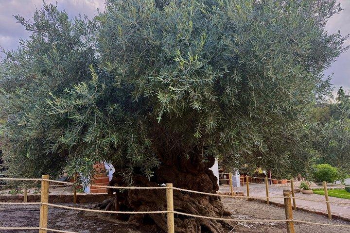 Privé VIP-tour: Elafonissi & Chania Old Town vanuit Heraklion