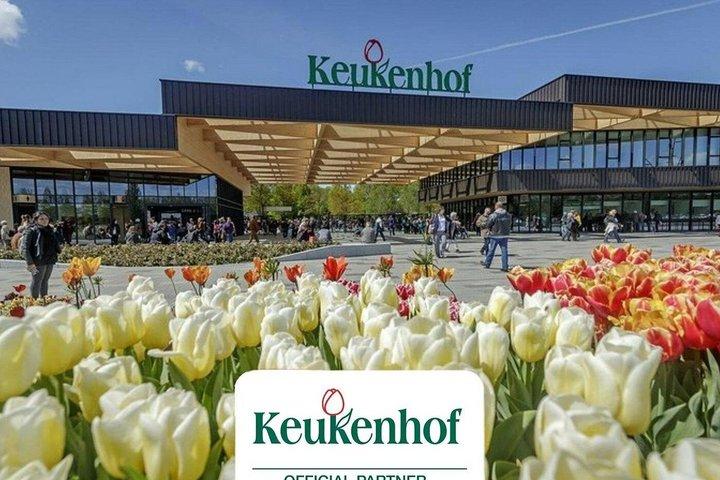 Tour privado al parque Keukenhof y los campos de tulipanes desde Rotterdam