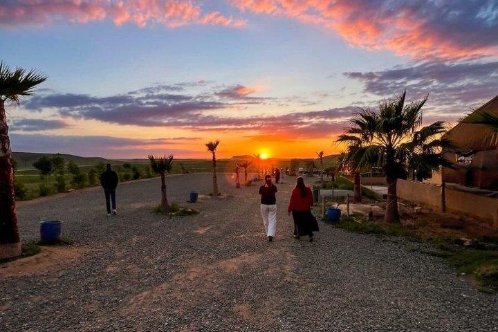 Marrakech Desert Agafay Camel Ride & Dinner Sunset and Show