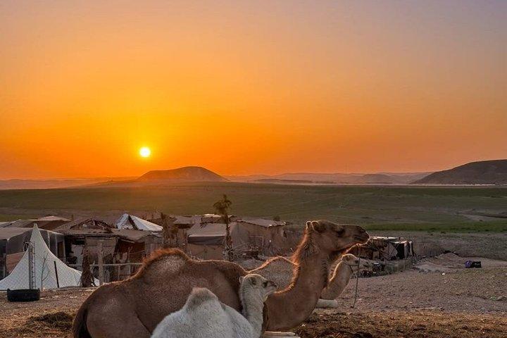 Marrakech Desert Agafay Camel Ride & Dinner Sunset and Show