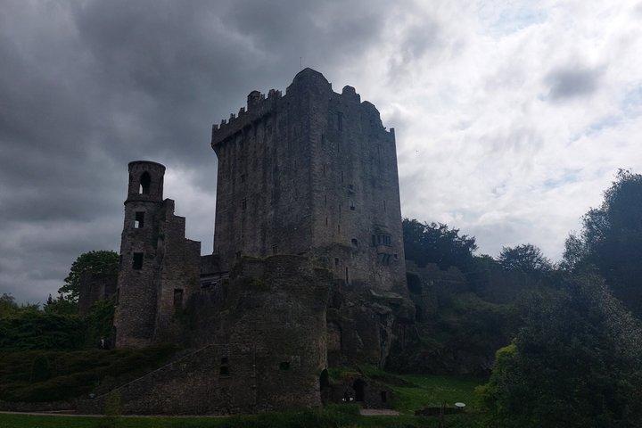 Private Castle Tour from Limerick