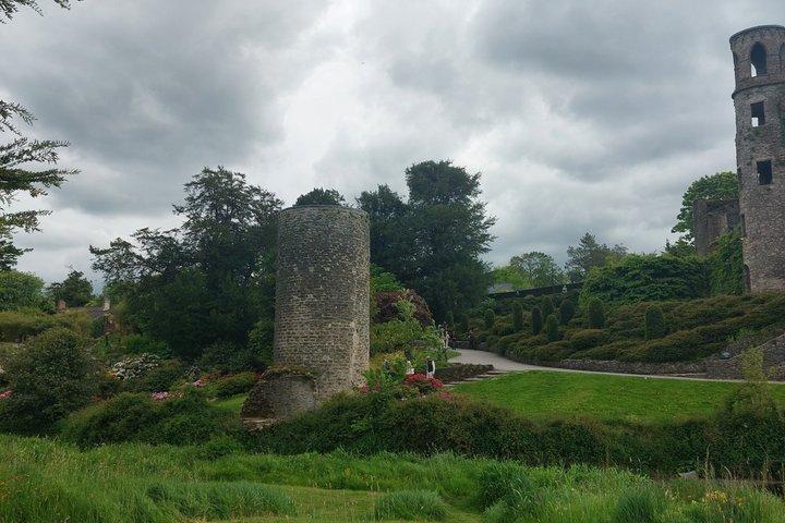 Tour privato del castello da Limerick