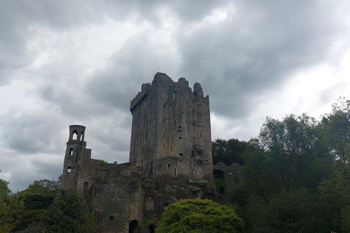 Tour privato del castello da Limerick