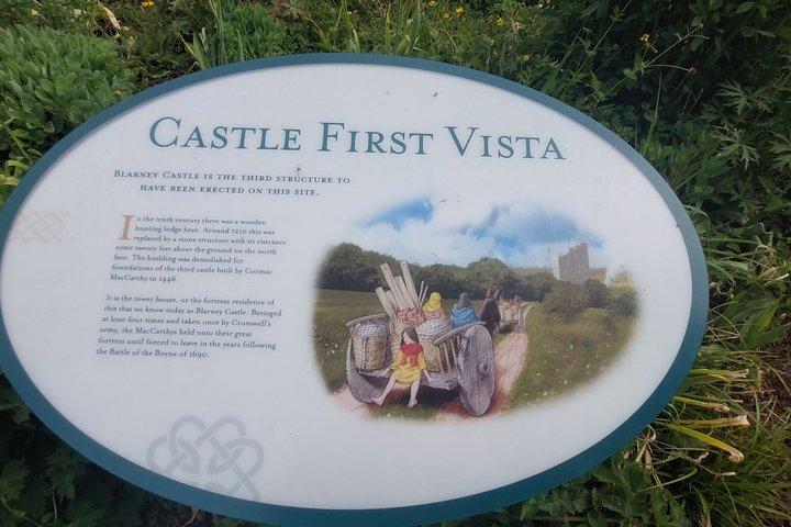 Tour privato del castello da Limerick