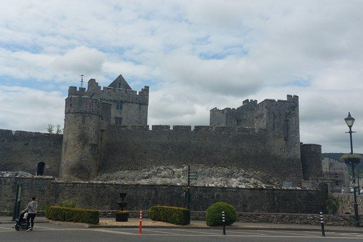 Tour privato del castello da Limerick