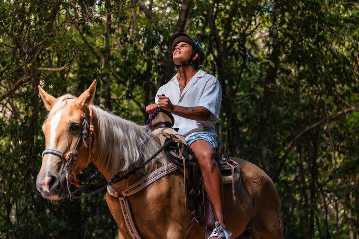 カンクン・マヤ・パス：ATV、セノーテ、ジップライン、交通機関＆馬