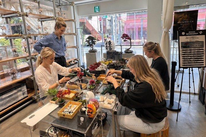 Bonsai Making Workshop and Take Home in Arashiyama Kyoto