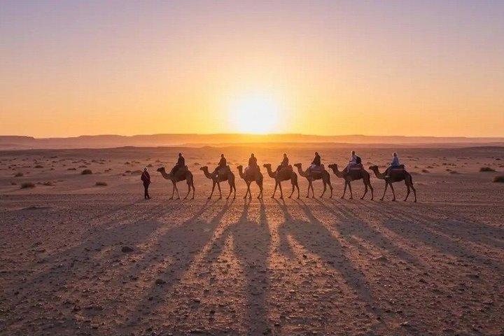 Marrakech Agafay Desert Quad & Camel med frokost og swimmingpool