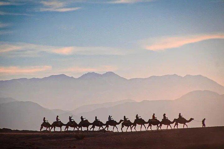 Marrakech Agafay Desert Quad & Camel med frokost og swimmingpool