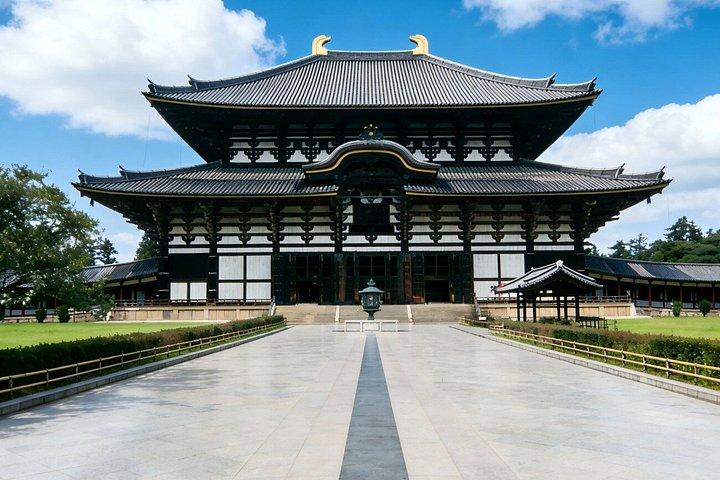 奈良・宇治日帰り旅行 かわいい鹿、抹茶体験、温泉