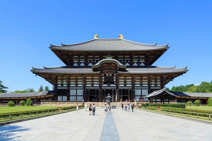 奈良・宇治日帰り旅行 かわいい鹿、抹茶体験、温泉