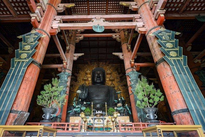 奈良・宇治日帰り旅行 かわいい鹿、抹茶体験、温泉