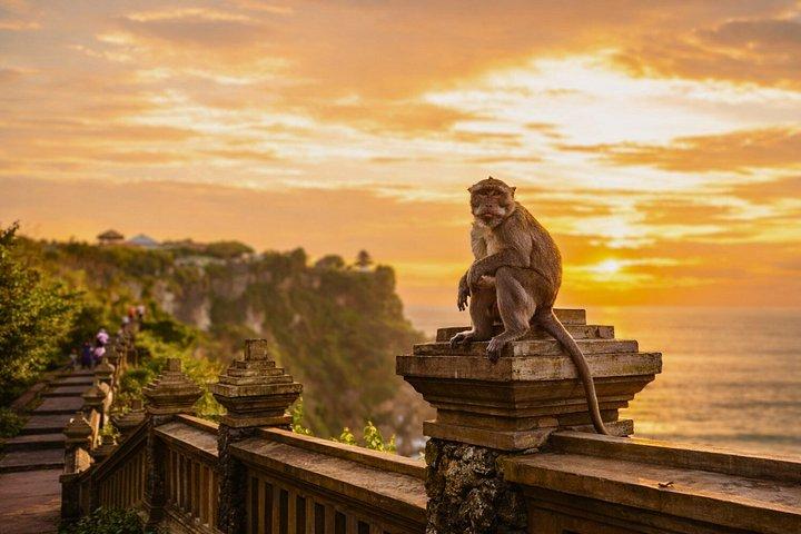 ケチャファイヤーダンスウルワツ、寺院とシーフードディナー