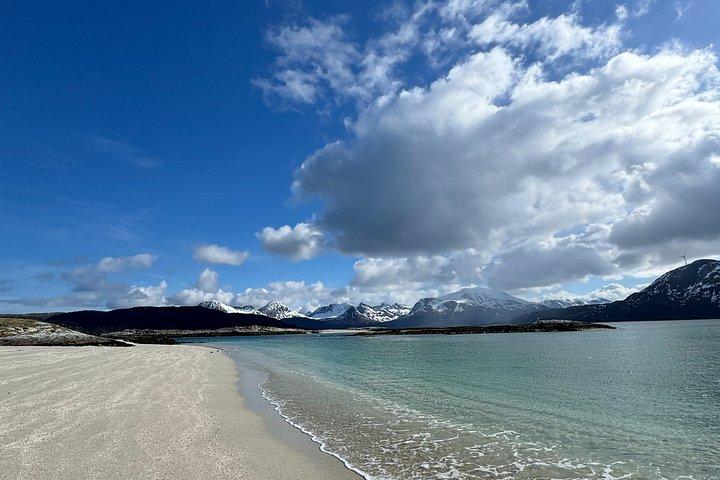 Tour de paparazzi de Tromso Sommaroy