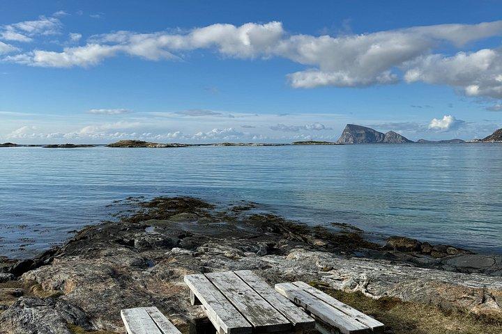 Tour de paparazzi de Tromso Sommaroy