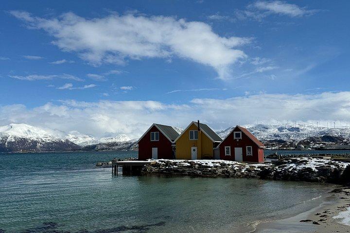 Tour de paparazzi de Tromso Sommaroy