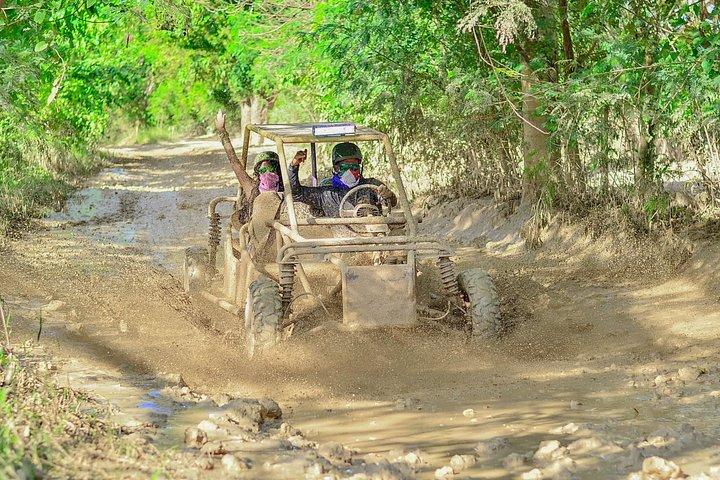 Punta Cana Monkey House, Buggy and Cenote Combo with Macao Beach