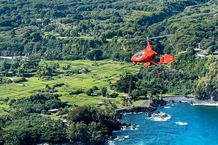 Esperienza di volo in giroplano sopra Kona